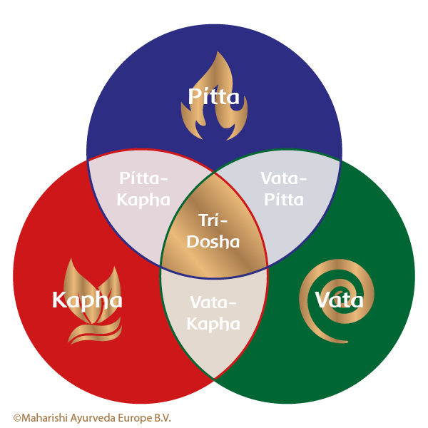 Pitta Traits