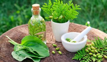 Comparison of Ayurveda with Other Traditional Medical Systems: Persian Medicine and Traditional Chinese Medicine